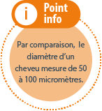 point info